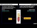 6. 9b06.2 cv6 संयोजी ऊतक connective tissues