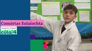 Comórtas Eolaíochta | Nuacht Cúla4 🧪👩🏻‍🔬