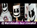 DJ Marshmallo Face revealed Shawn Mendes
