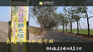 嘉義灣北社區|綠色隧道苦楝樹美景介紹