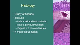 NAU Bio 201 Lab 1 - Anatomical Position-Microscopy-Histology