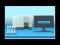 Video Orientation for Flow Cytometry Simulation