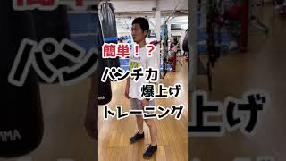 【#short】パンチ力向上トレーニング