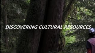 Discovering Cultural Resources