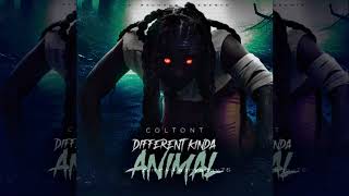 ColtonT - Different Kinda Animal (OFFICIAL AUDIO)