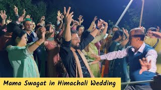 Mama Swagat in Himachali Wedding / Himachali Nati 😍 /  Himachali Culture Part -2