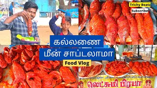 கல்லணையை கலக்கும் மீன் கடை| 5 Rs ku Freshana மீன் வறுவல்lஆனந்த் மீன்கடைl Fish Fry |Tamil Food Review