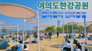 봄나들이 인파로 가득한 여의도한강공원 Yeouido Han River Park in Seoul, South Korea, filled with springtime crowds 4K