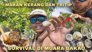 MENCARI KERANG di muara bakau || Di pinggir pantai langsung di masak sambal bawang‼️‼️