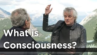 David Chalmers - What is Consciousness?