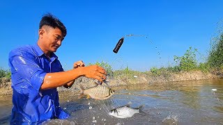 Fishing nets in the main rice fields - Trung Du Vlogs