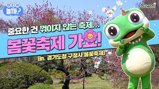 중요한 건 꺾이지 않는 축제…!🔥 수원이와 함께 경기도청 구청사 봄꽃축제 놀러가요!🌸