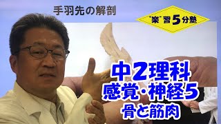 【中２理科　動物】感覚・神経５　「骨と筋肉」