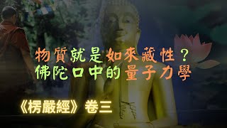 【楞嚴經】物質就是如來藏性？佛法中的量子力學，性色真空，性空真色，隨眾生心，應所知量，循業發現｜楞嚴經｜宣化上人｜佛子