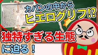 【抜き打ち】カバンの中身チェックで現役大学生の実態を調査！【大公開】｜vol.006