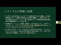 【緊急アクション8】イスラエル側の事情〜「頑なさ」の背景を専門家に聞く〜（2023 11 15）