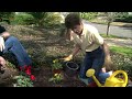 around the yard how to plant container plants around your yard