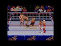 WWF Royal Rumble SNES 1993 Full Match  - Lex Luger