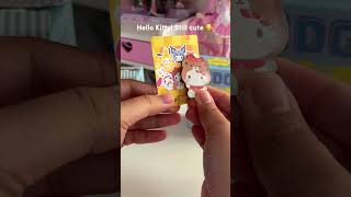 Lucky Sanrio Fridge Magnet blind boxes #sanrio #asmr #shorts