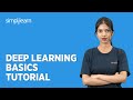Deep Learning Basics Tutorial | Deep Learning Fundamentals | Deep Learning Training | Simplilearn