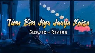 Tum Bin Slowed Reverb song । Sanam Re । Shreya Ghoshal । Pulkit Samrat, Yami Gautam । LOFI 3.59 ।