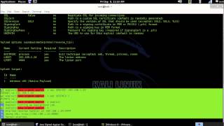 Kali Linux - Java Signed Applet