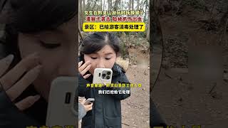 女生在黔靈山遊玩時撫摸猴子，遭猴子襲擊，臉被抓傷出血，景區：景區：已給遊客消毒處理了。