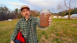 Seeding Pasture Food for Farm Animals