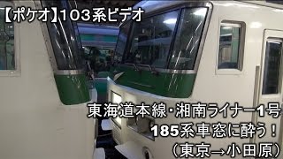 【飲み鉄】晩酌用・東海道本線185系 湘南ライナー１号 車窓に酔う！（東京-小田原）