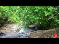 ella uda ella falls sri lanka ඇල්ල උඩ ඇල්ල කහන ඇල්ල ella uda ella l travel guide sri lanka