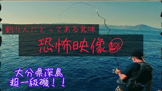 【磯釣り】大分県深島の超一級磯でまさかの…😭