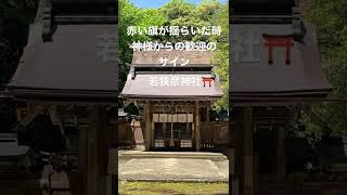 ⭐️赤い旗が揺らいだ時神様が願いを叶えてくれるサイン⭐️若狭彦神社⛩