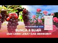 Pupuk Fase Generatif Cabe Padi Anggur Durian Melon Tomat Semangka NPK Mutiara Partner 13 13 24