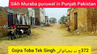 372 Bujyanwali Gojra Toba Tek Singh Punjab Pakistan village! sikh Puruwal muraba