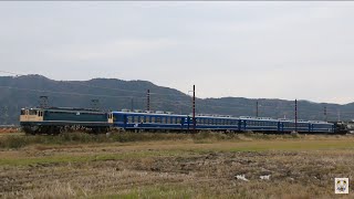 「SL北びわこ号」 EF65牽引の回送列車　(2015.11.29)