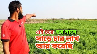 সাড়ে চার লক্ষ টাকা আয় করেছি চরে থেকে l Rural Life