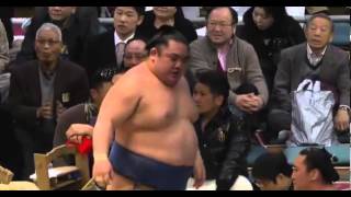 Higonojo vs Wakanosato Day 2 Sumo Haru Basho March 2014