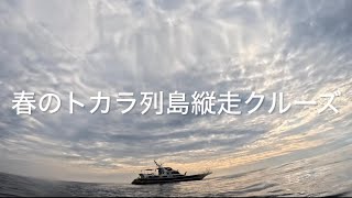 トカラ列島縦走ダイビングクルーズ　〜Wonder Sea Explorer〜