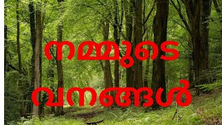 വൃക്ഷ രക്ഷയ്ക്കുവേണ്ടി ആത്മാർപ്പണം ചെയ്തവർ ആരൊക്കെ ??? റെഡ് ഡാറ്റ ബുക്ക് എന്താണ് ???