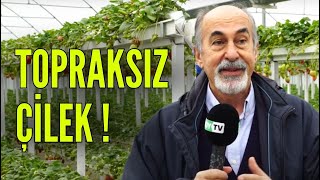 SUYUN ROTASI | TOPRAKSIZ ÇİLEK YETİŞTİRİCİLİĞİ