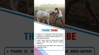 Tharu Tribe | Katarniaghat Sanctuary| Forum IAS #shorts