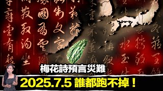 《我所看見的未來》與《梅花詩》千年預言驚人巧合！2025年大災難將至？ | 馬臉姐