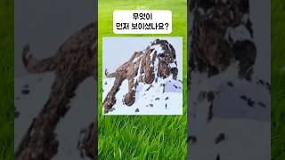 성향에 따라 다르게 보이는 독특한 테스트