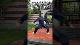 行云流水般正宗太极拳，力量刚猛，四两拨千斤 太极拳 中华武术博大精深 道家养生 太极养生动起来