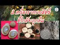 3 เครื่องรางกายสิทธิ์ของคนโบราณที่กำลังจะถูกลืม