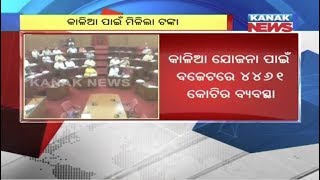 Odisha Govt Allocates Rs.4461 Crores Under KALIA Scheme For Farmers