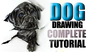 How to Draw a Realistic Dog | Pet Portrait Drawing