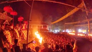 Kuttanellur Pooram 2025🐘| Spectacular Panchari Melam \u0026 Festival Celebrations |Thrissur Pooram Vibes🎶