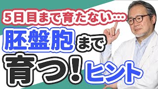 【妊活】採卵・受精したのに…！胚盤胞まで育たない…原因は？【体外受精・顕微授精】