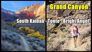 Early Winter Run in Grand Canyon | South Kaibab - Tonto - Bright Angel | Can a DOG under the rim?